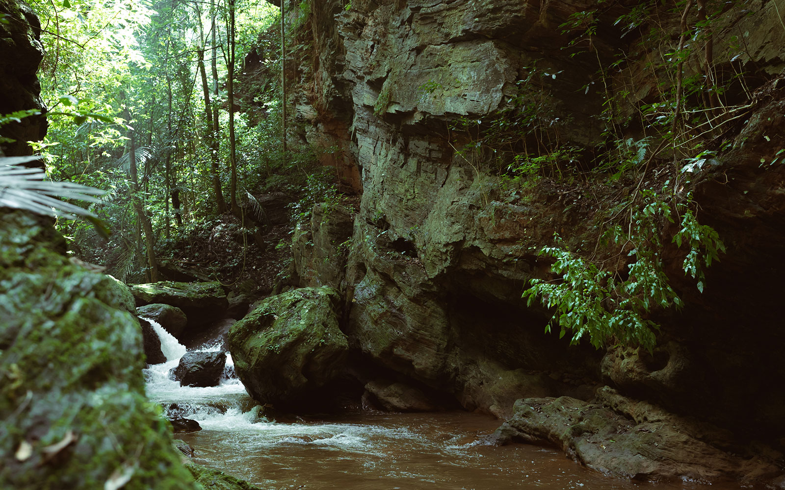 The waterfall and gorge