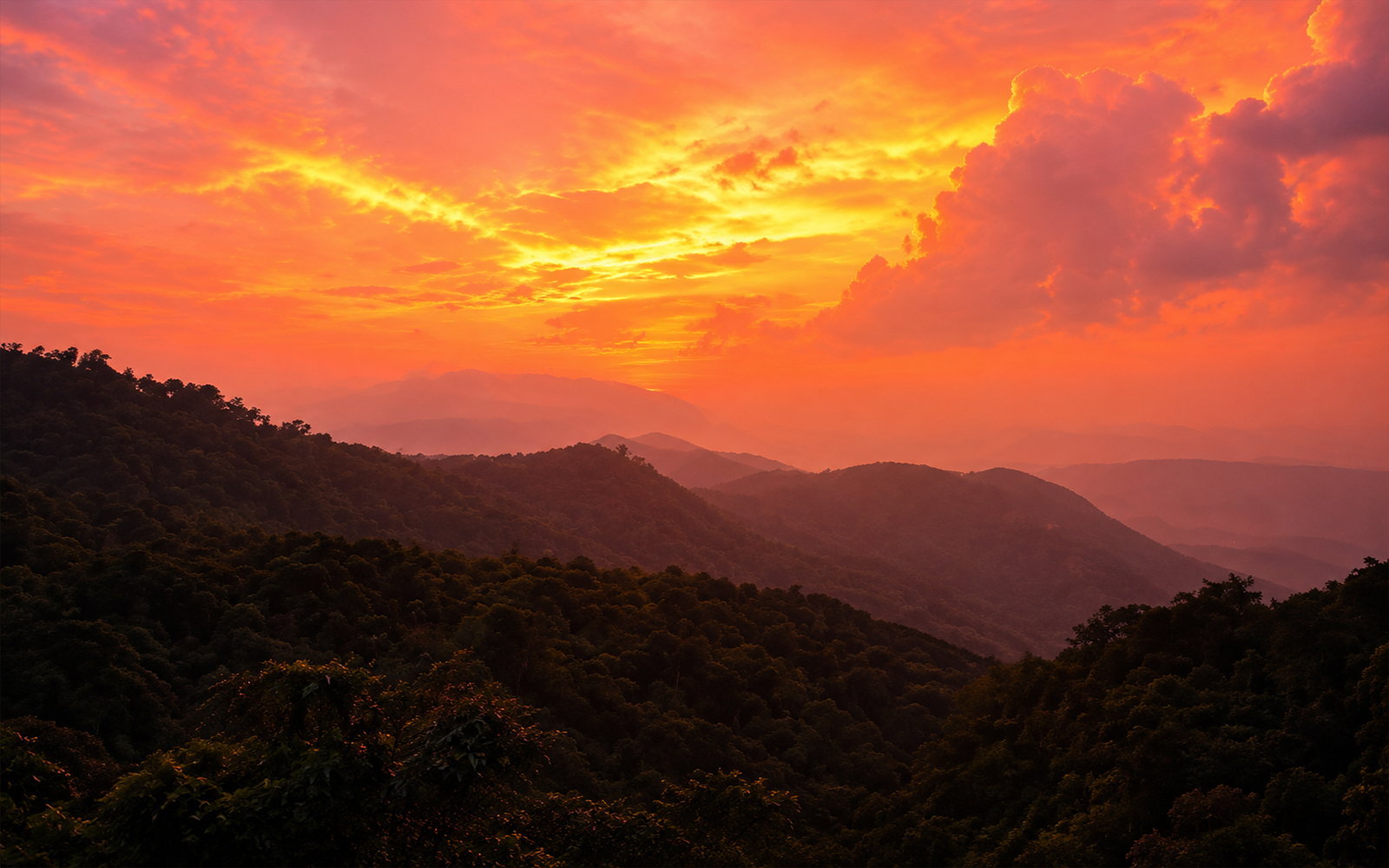 Sunset Trek (Optional)