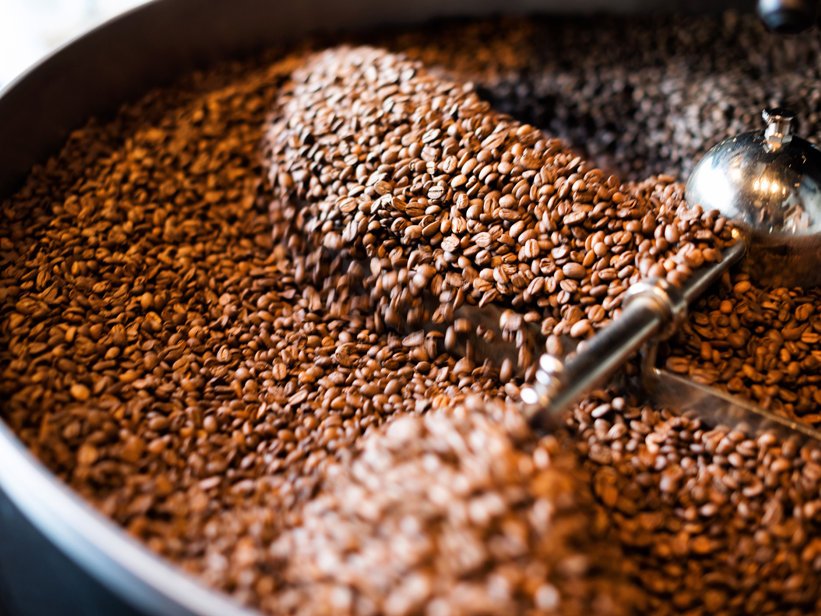 Bean-to-Cup Coffee Experience — Roasting