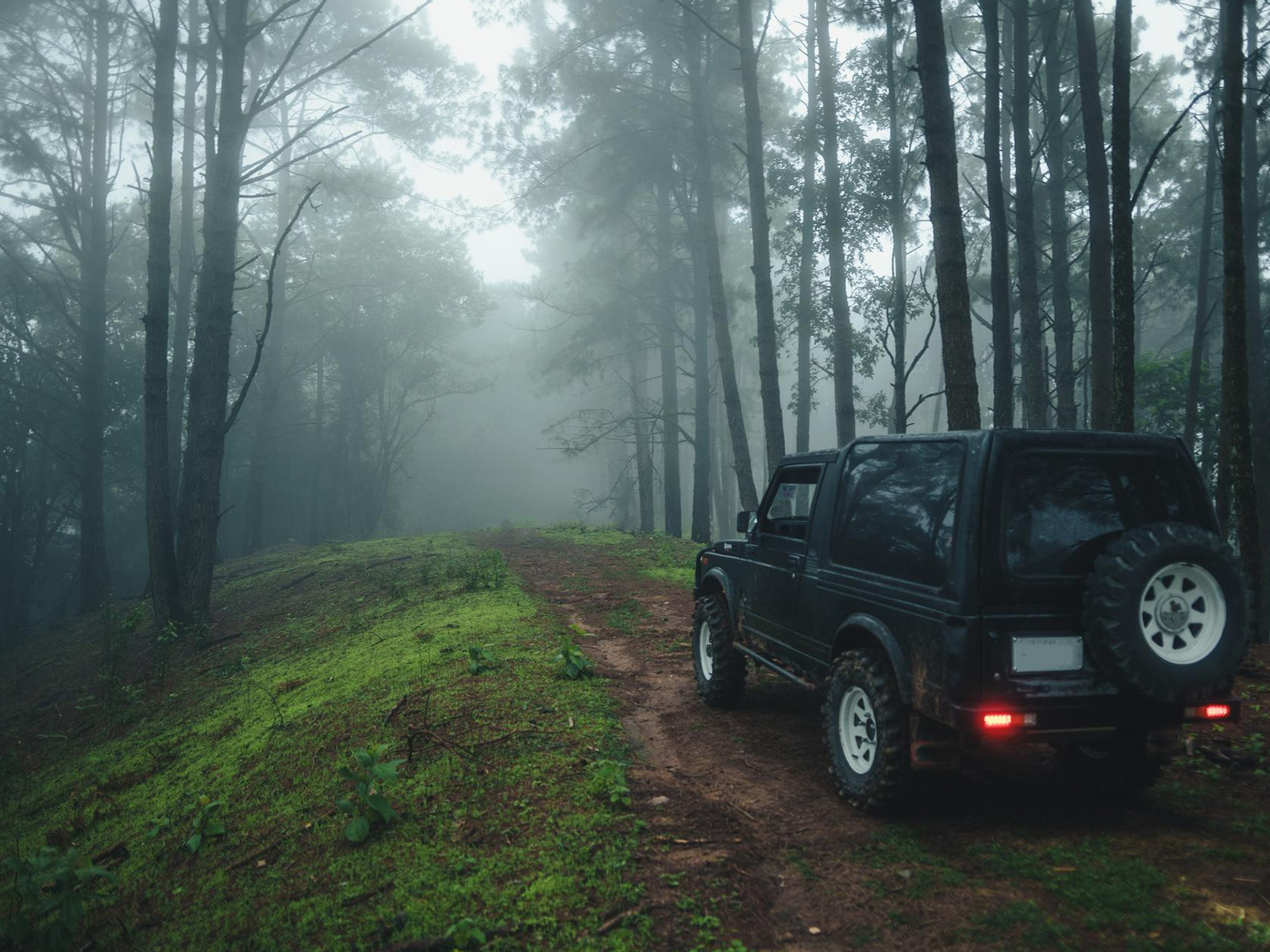 Jeep Plantation Safari — Plantation Trails