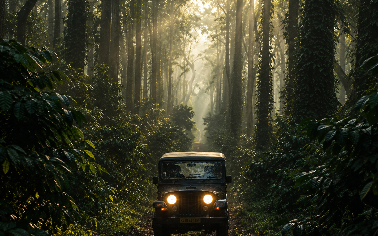 Jeep Plantation Safari