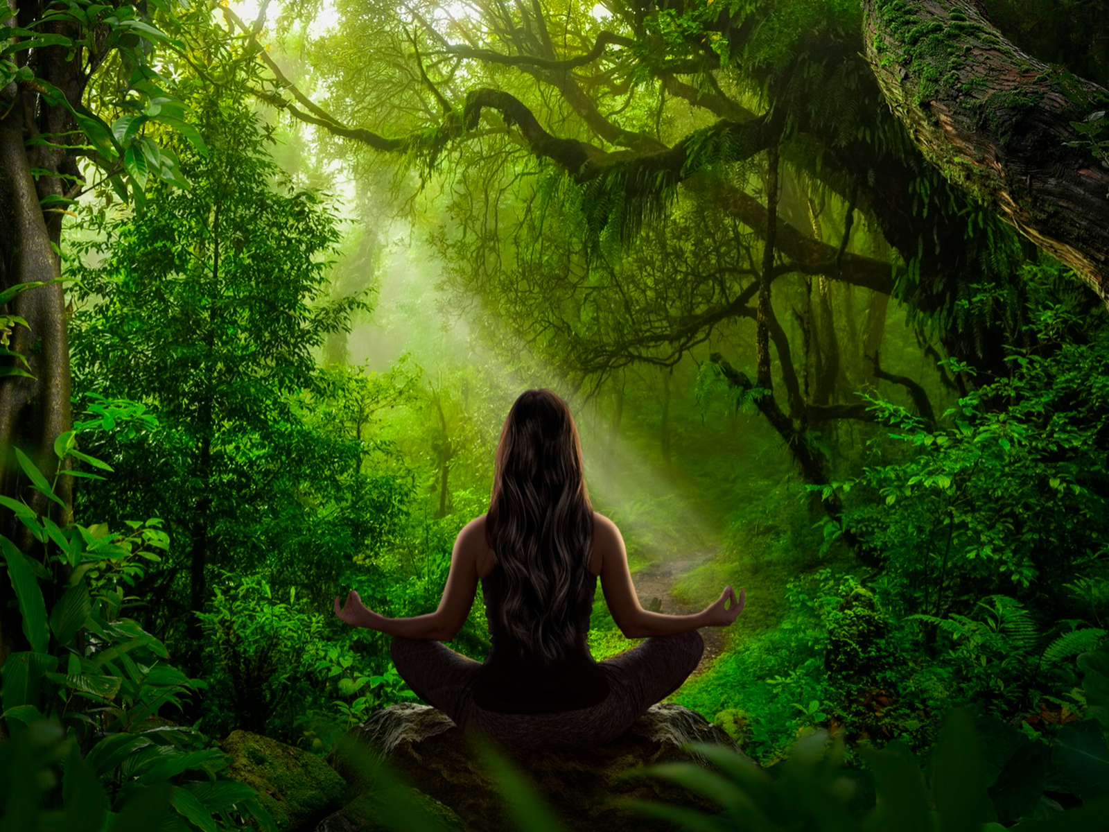 Meditation in the Forest — Meditation