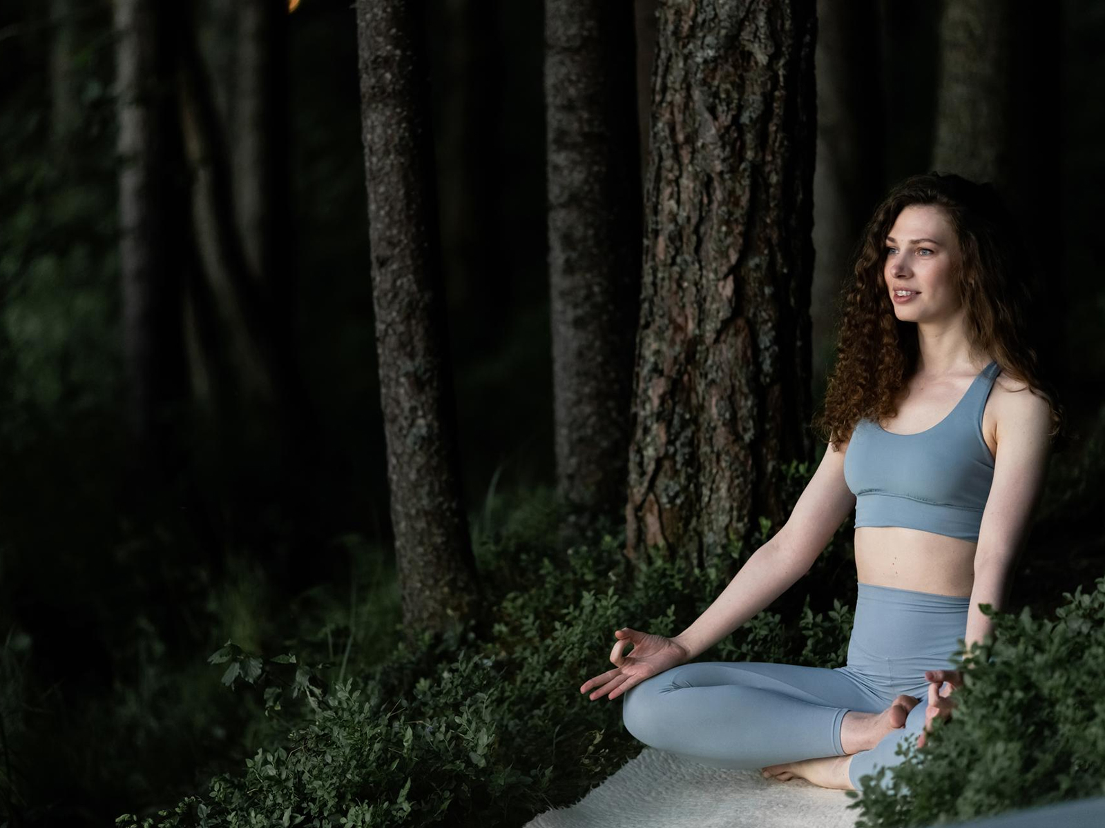 Meditation in the Forest — Trees