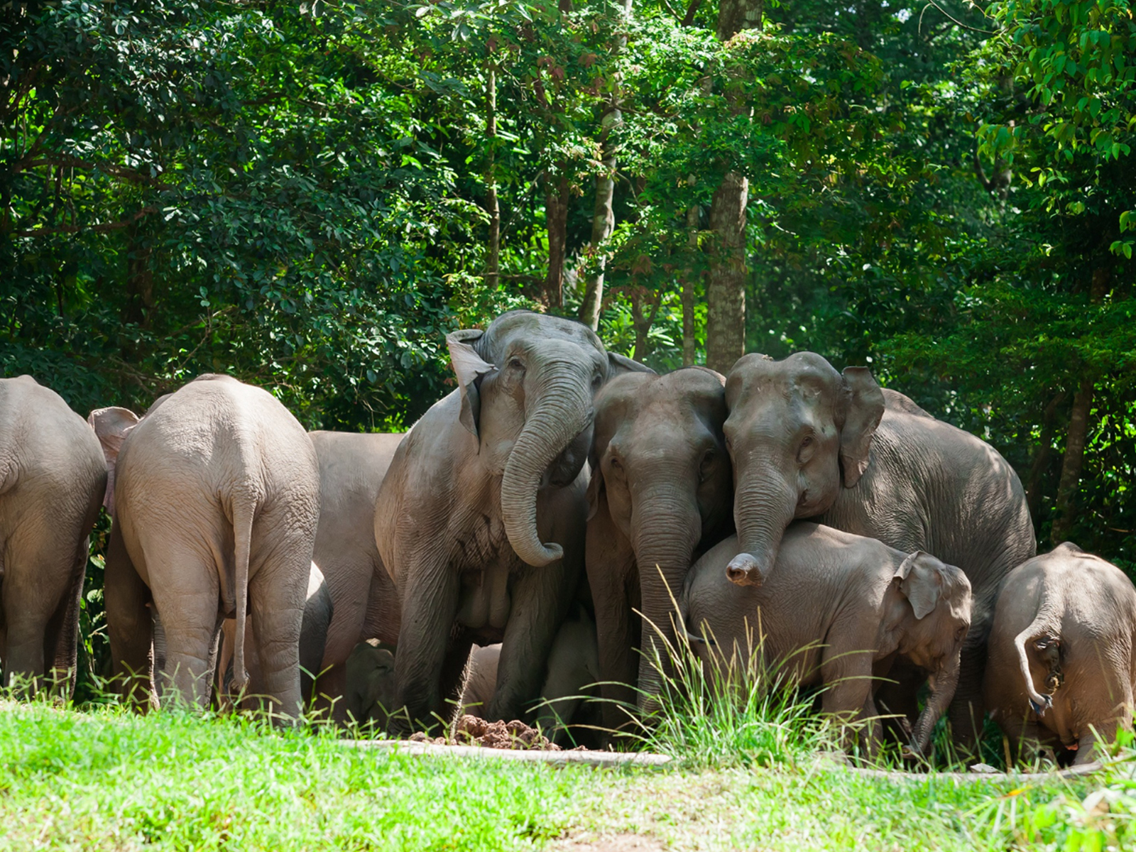 Photography in Nature Masterclass — Wildlife