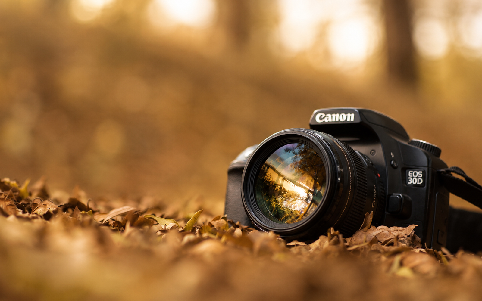 Photography in Nature Masterclass