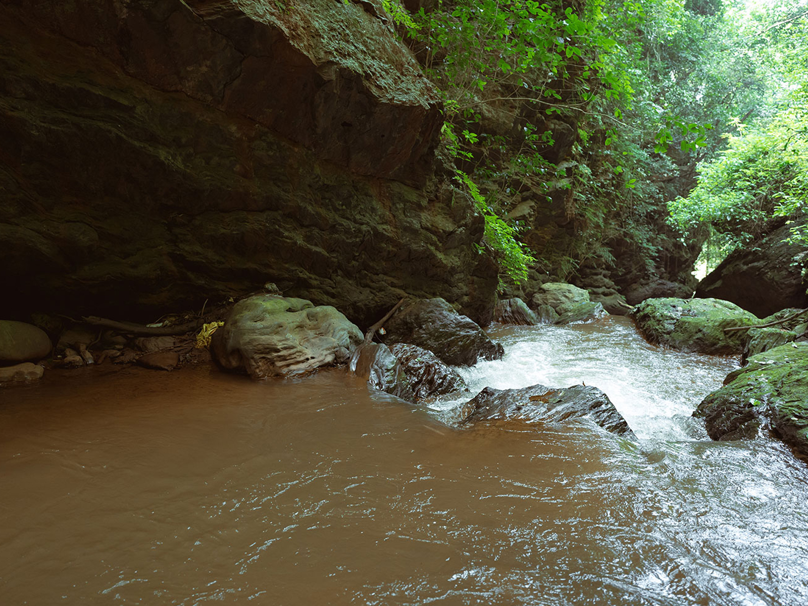 Picnic at the Gorge — Gorge