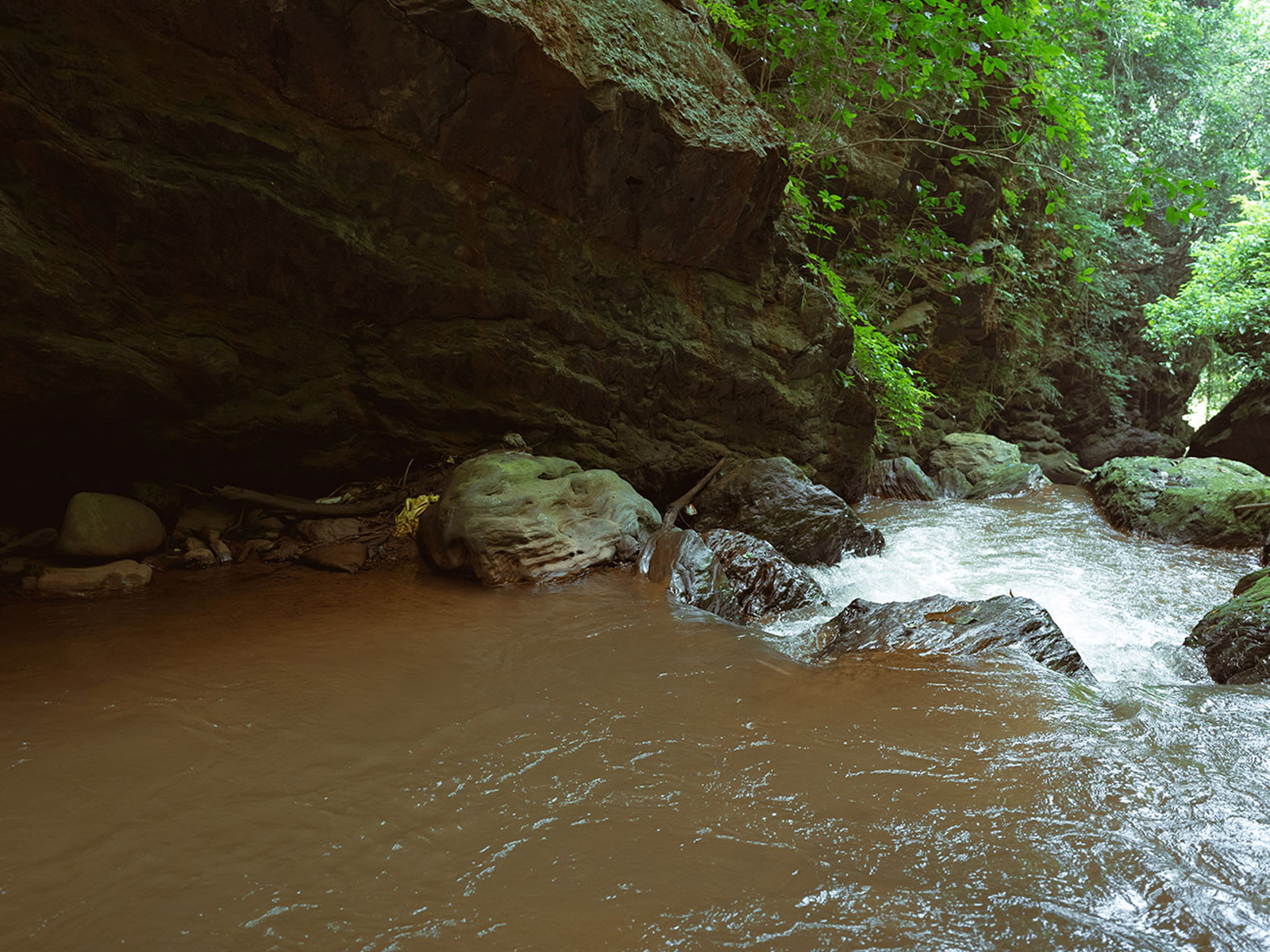 Picnic at the Gorge — Picnic
