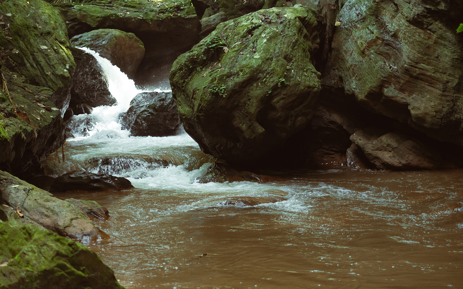 Picnic at the Gorge