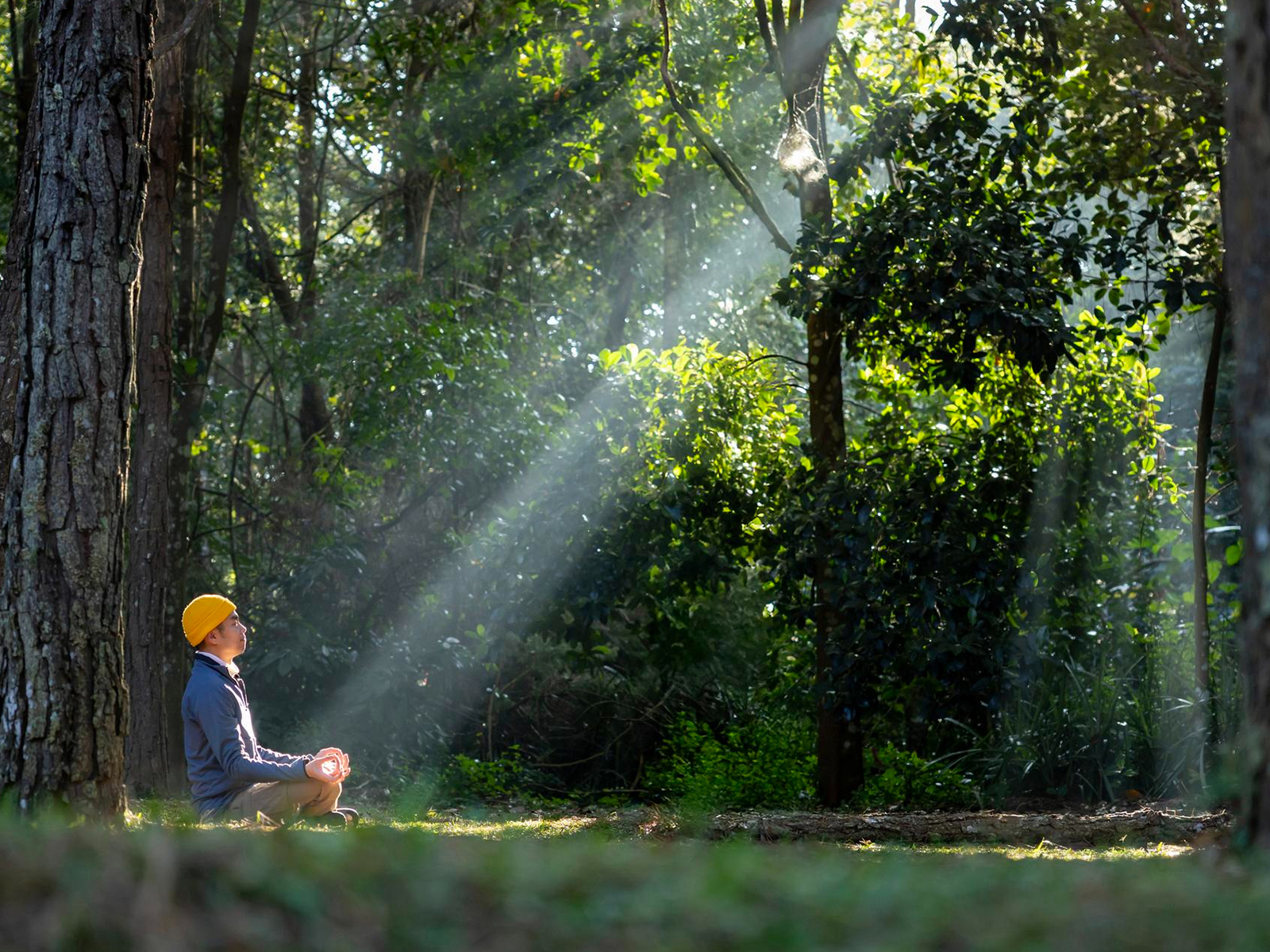 Sunrise Yoga — Plantation