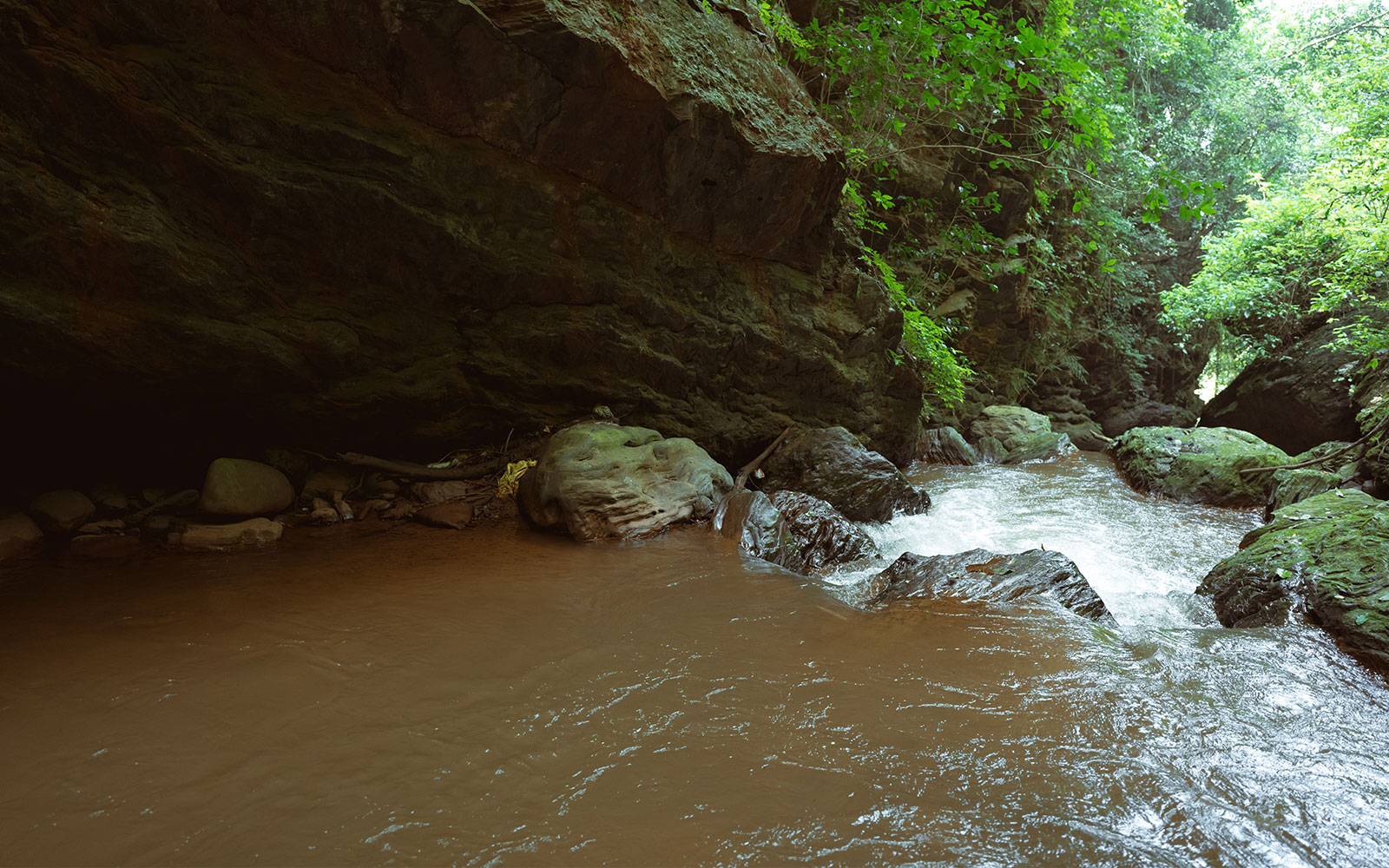 The gorge