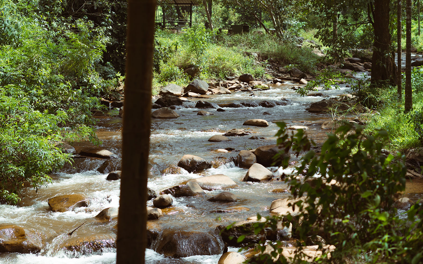 Mountain Stream